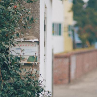 带来好运的头像图片美景