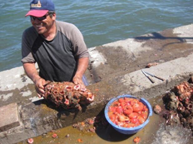 男孩海边带回手感独特的石头，老一辈看后说这是人间美味
