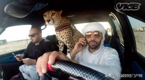 沙特阿拉伯和阿联酋的区别(阿联酋和沙特哪个强大)