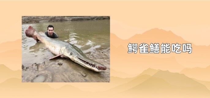 鳄雀鳝能吃吗