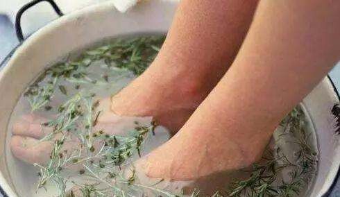 房间里熏艾有什么作用,艾条的作用与功效有哪些图3