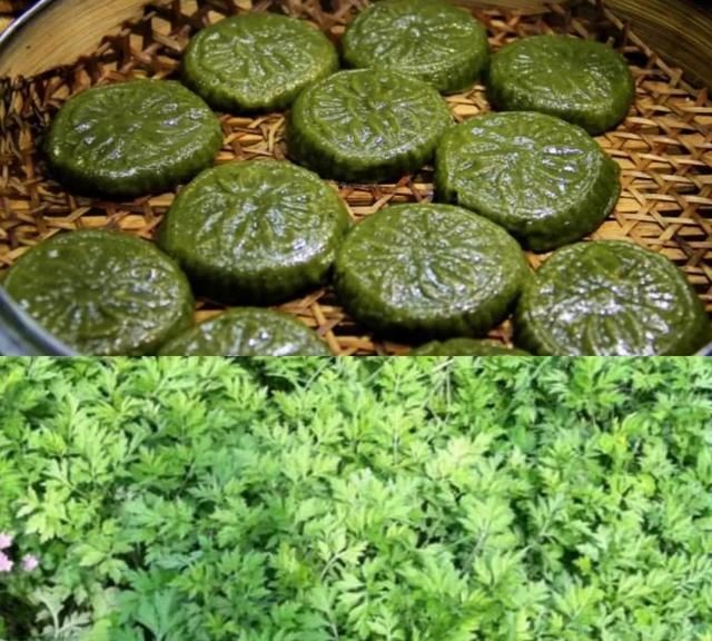 野菜的种类,山区农村的野菜很多,哪种野菜不但口感好营养价值也很高?图10