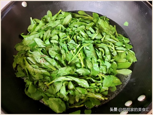 田七菜怎么做好吃（夏季必备田七菜做法教程）