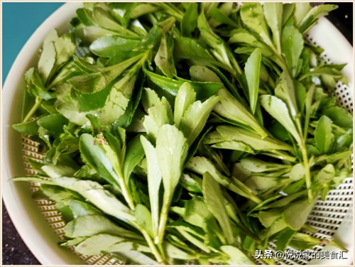 田七菜怎么做好吃（夏季必备田七菜做法教程）