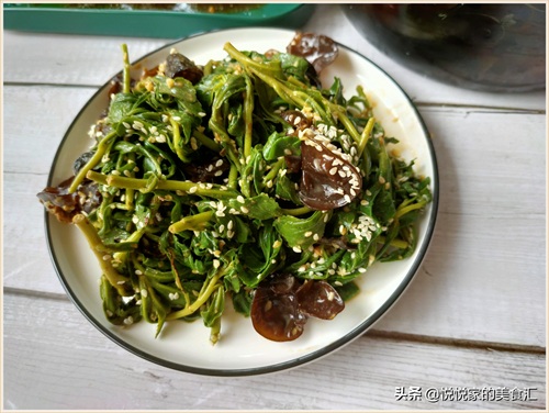 田七菜怎么做好吃（夏季必备田七菜做法教程）