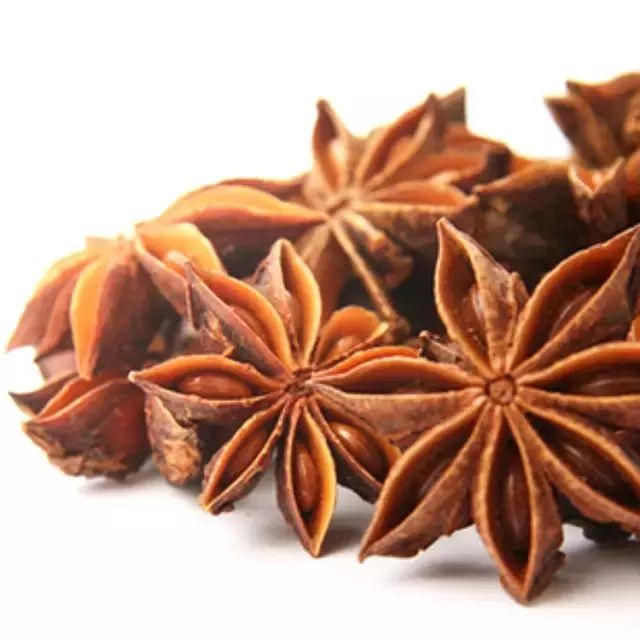 蟑螂怕什么气味和东西（分享蟑螂最害怕的9样东西）