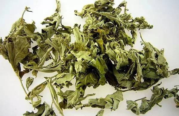 蟑螂怕什么气味和东西（分享蟑螂最害怕的9样东西）