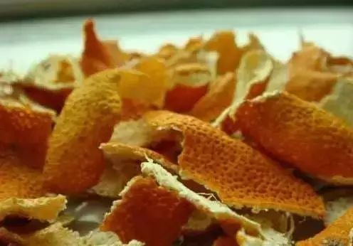 蟑螂怕什么气味和东西（分享蟑螂最害怕的9样东西）