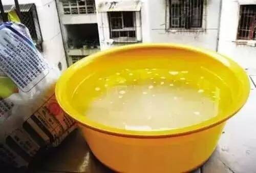 蟑螂怕什么气味和东西（分享蟑螂最害怕的9样东西）