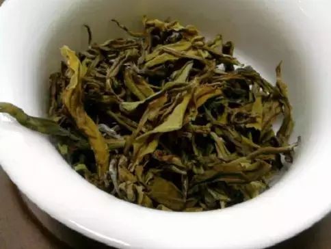 蟑螂怕什么气味和东西（分享蟑螂最害怕的9样东西）