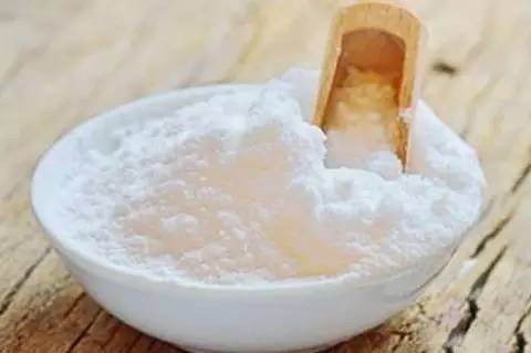 蟑螂怕什么气味和东西（分享蟑螂最害怕的9样东西）