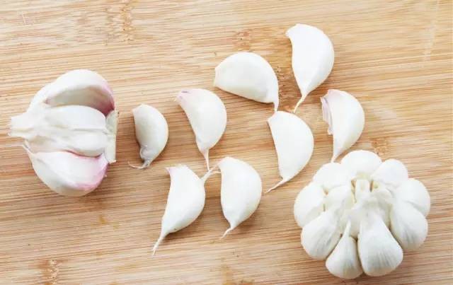 蟑螂怕什么气味和东西（分享蟑螂最害怕的9样东西）