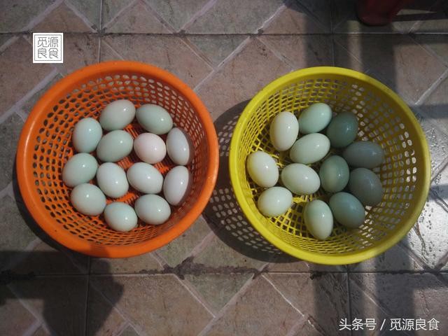 怎样快速腌制咸鸭蛋的最佳方法（咸鸭蛋腌制的两种方法）(4)