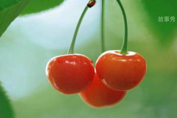 网络图片(侵删)