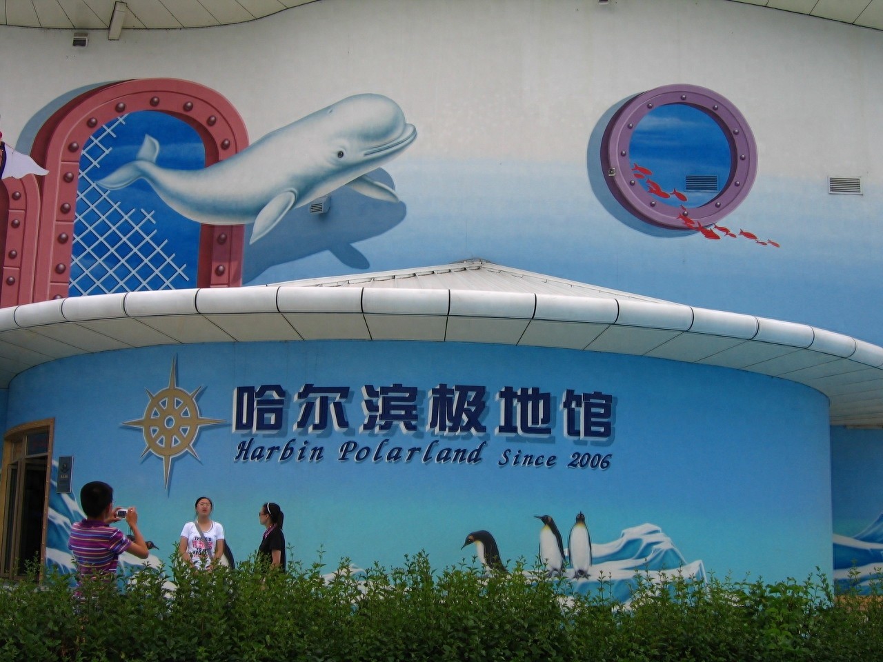 它是世界首座极地演艺游乐园，位于哈尔滨，有非常可爱的南极企鹅