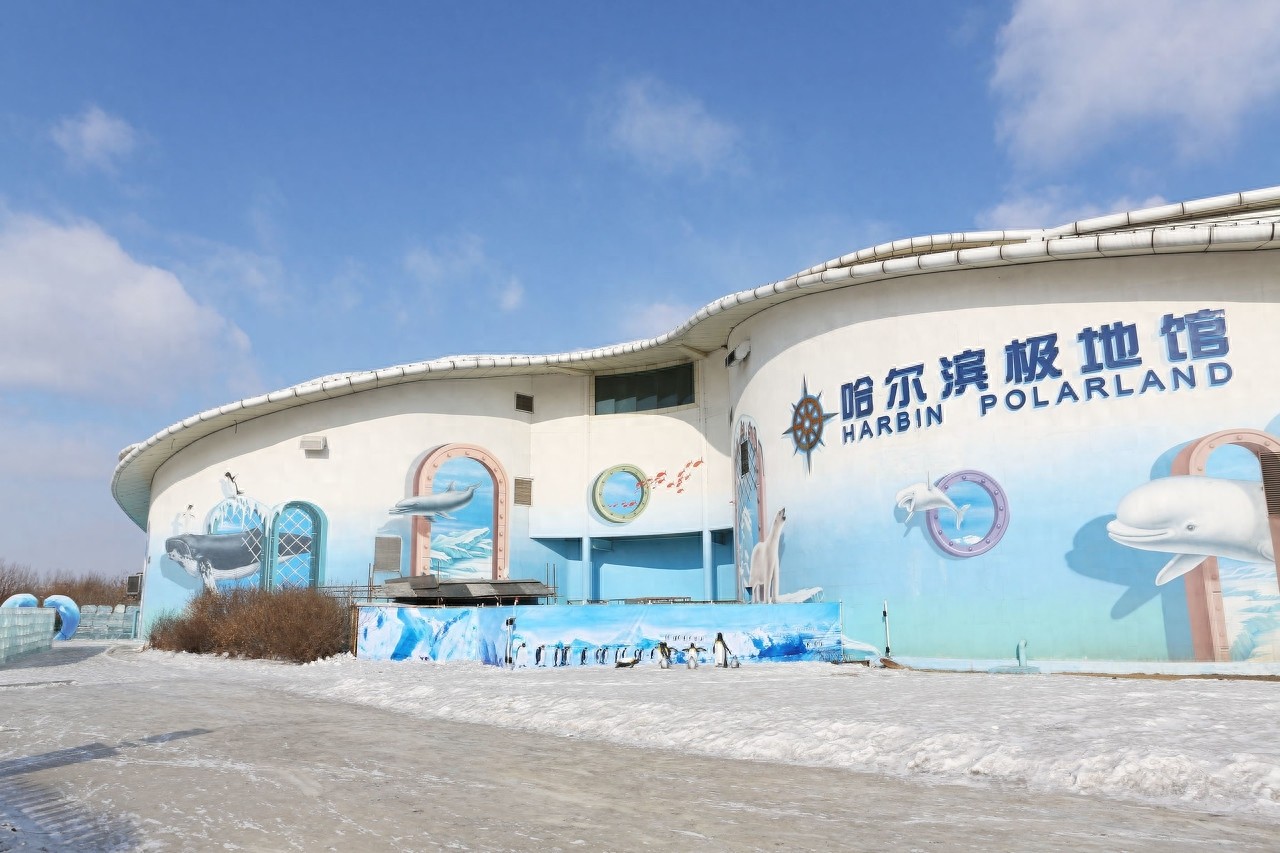 它是世界首座极地演艺游乐园，位于哈尔滨，有非常可爱的南极企鹅