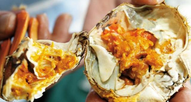 怎么样是最正确吃螃蟹的方法（爱吃螃蟹的赶紧看过来）(2)