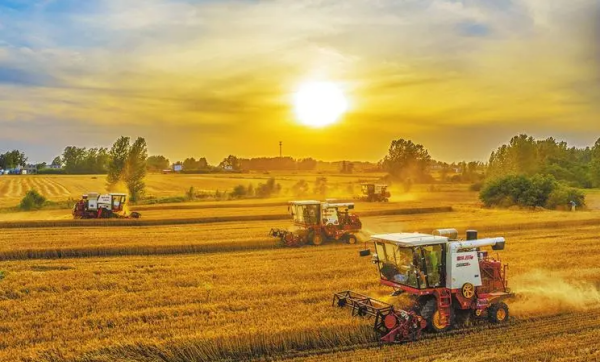 十三五时期我国粮食年产量连续五年稳定在多少一斤以上,2025粮食产量保持在多少以上图4