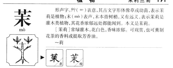 茉莉的拼音（茉莉怎么拼）