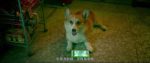 经典港产奇幻片选（今年最惊艳的香港CULT片）(23)