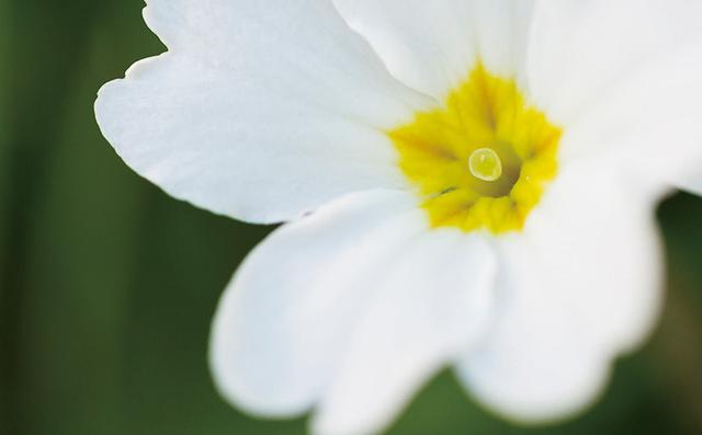 标准自动白平衡和暖色白平衡（理解巧用白平衡）(8)