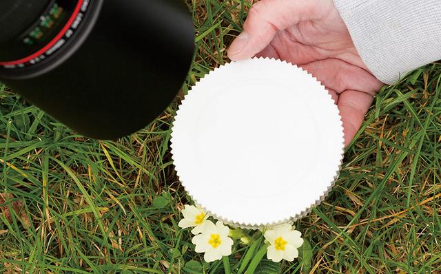 标准自动白平衡和暖色白平衡（理解巧用白平衡）(5)