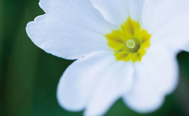 标准自动白平衡和暖色白平衡（理解巧用白平衡）(7)