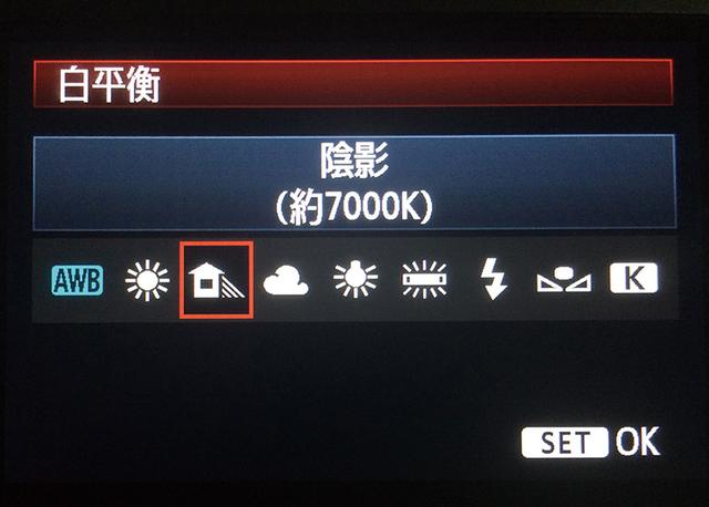 标准自动白平衡和暖色白平衡（理解巧用白平衡）(2)