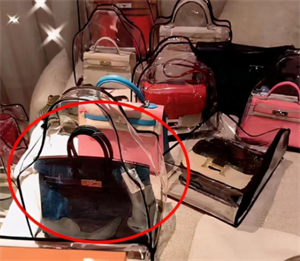 周扬青家里做什么的(周扬青的家庭背景怎么样)-