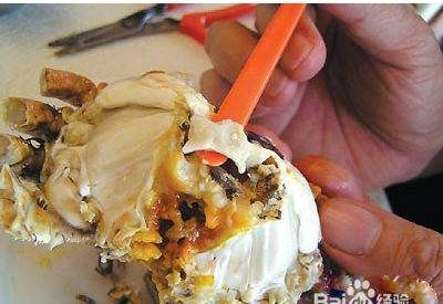 大闸蟹图片,怎么区分螃蟹是母的还是公的图12