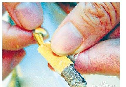 大闸蟹图片,怎么区分螃蟹是母的还是公的图15