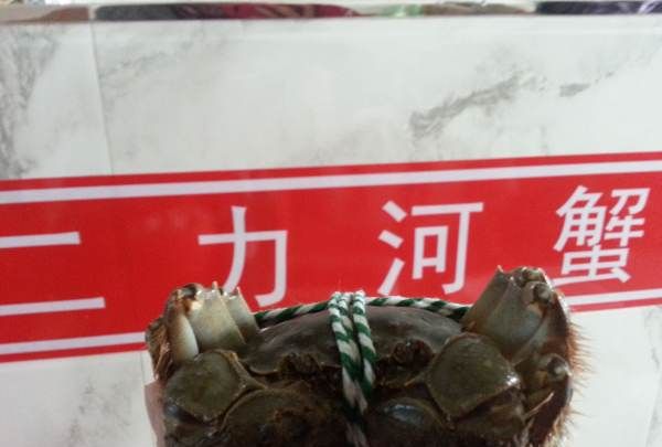 大闸蟹图片,怎么区分螃蟹是母的还是公的图7