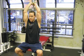 蝴蝶臂的正确锻炼方法(夏天露胳膊不用怕)(4)