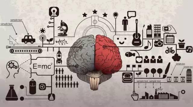 幼儿园3-6岁各阶段智力开发详解(适合娃3岁前的智力开发方案)(1)