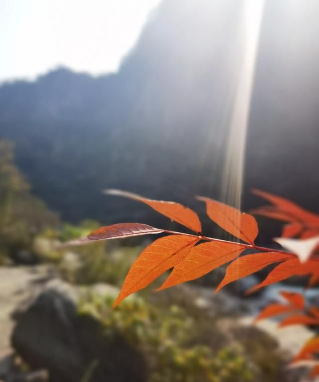 什么样的爸爸才是好爸爸(什么样的爸爸是好爸爸)图4