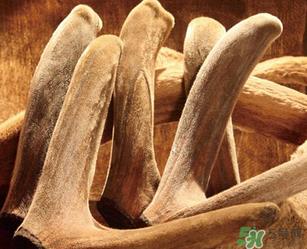 鹿茸不能和什么一起吃?鹿茸不能与什么同食? 鹿茸不能和什么一起吃?鹿茸不能与什么同食?