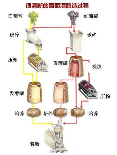 红酒生产流程