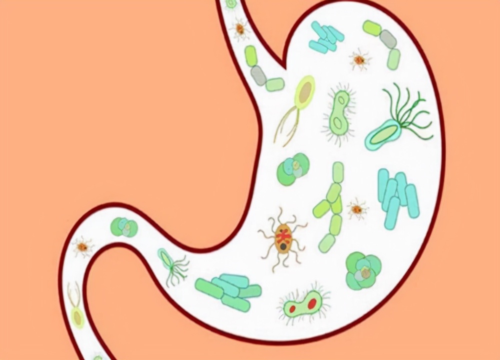 煮苹果红枣水能够消积食?医生:要想孩子脾胃好,常吃3种水果