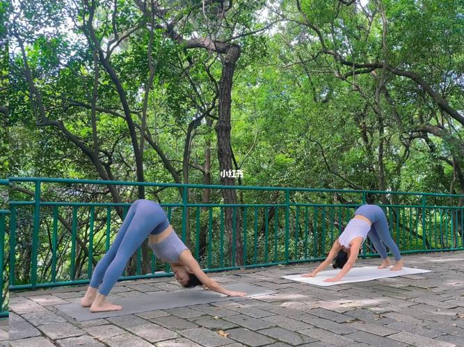 适合晨练的瑜伽体式(这10个瑜伽体式一定要知道)