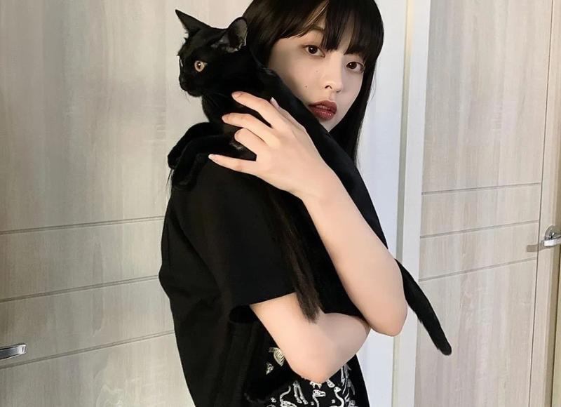 我对这个世界所有的温柔都是 这世上所有温柔的事情