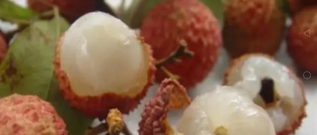 白糖罂荔枝是哪里产的，白糖罂荔枝保花保果正宗配方？图2