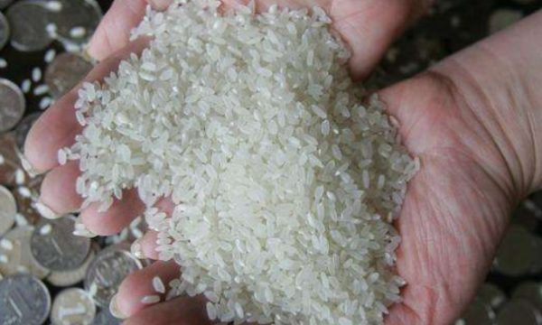 米生虫了还可以吃,米生虫了还能不能吃?怎么办?图6