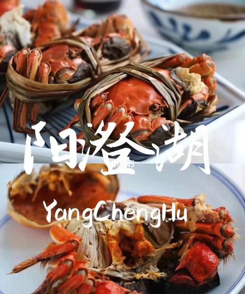 阳澄湖大闸蟹上市时间是多少