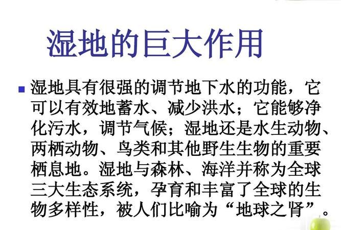 什么是地球上最大的生态系统