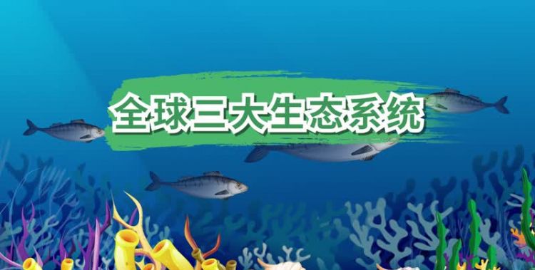 最重要的自然生态系统是