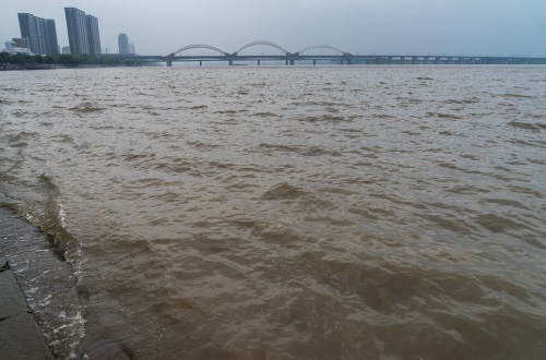 今年的松花江水真大，江面宽阔，波浪起伏