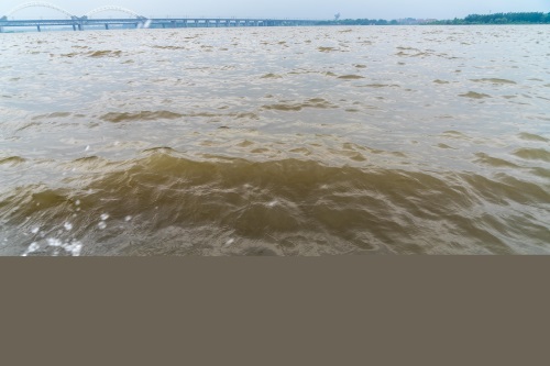 今年的松花江水真大，江面宽阔，波浪起伏