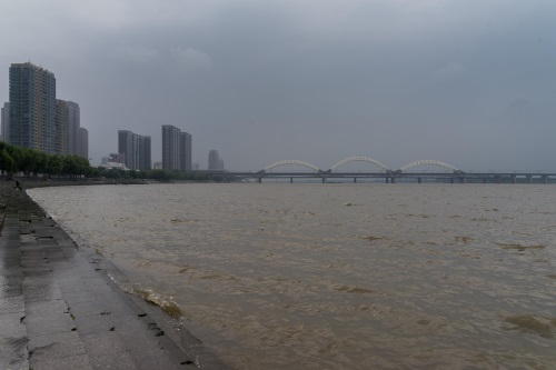 今年的松花江水真大，江面宽阔，波浪起伏