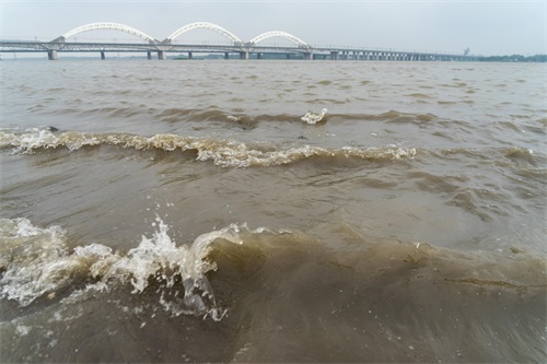 今年的松花江水真大，江面宽阔，波浪起伏