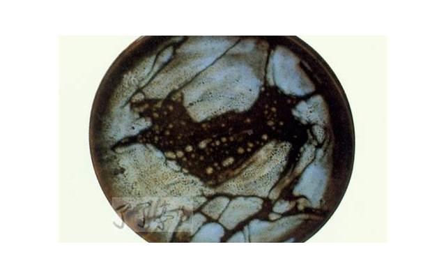 抚养权能够反悔吗